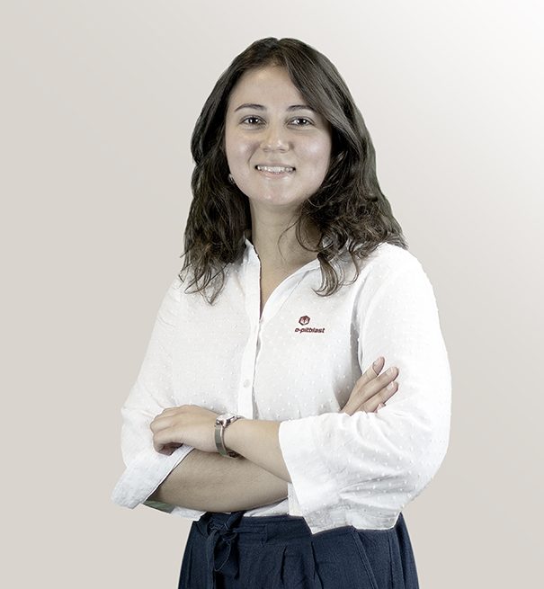 Ana Feio